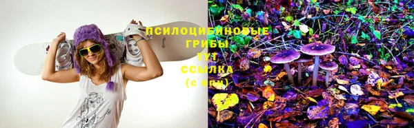 mix Белокуриха