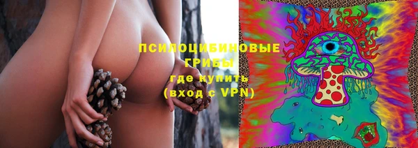 дживик Беломорск