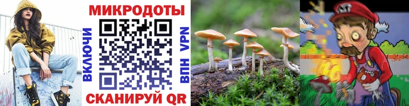 Галлюциногенные грибы MAGIC MUSHROOMS Краснодар