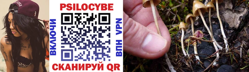 Галлюциногенные грибы Psilocybe  нарко площадка Telegram  Краснодар 