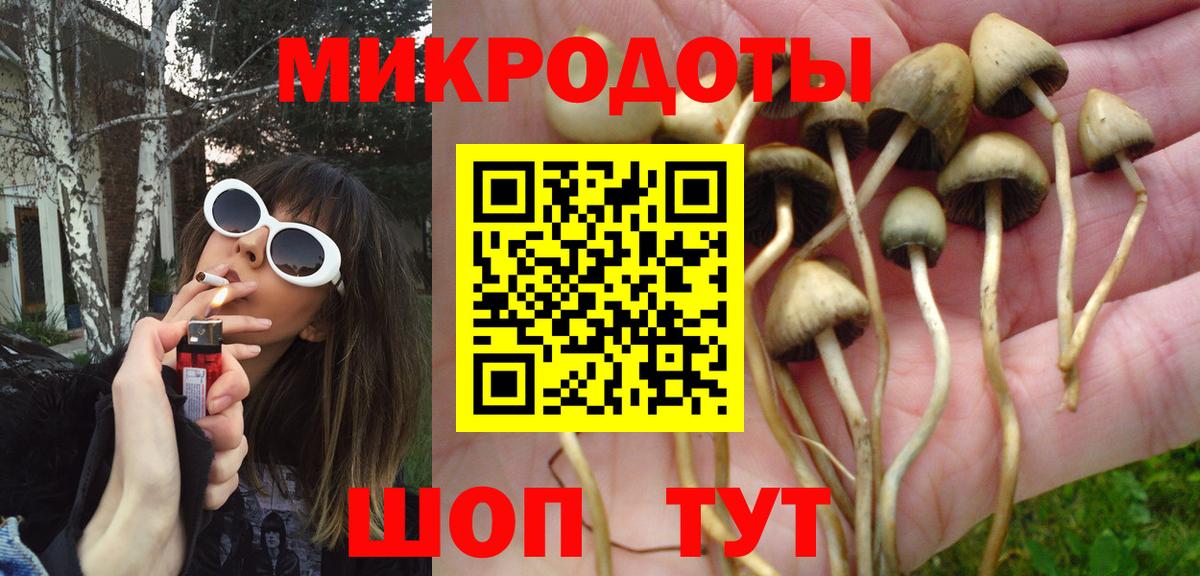 Псилоцибиновые грибы Magic Shrooms Россия
