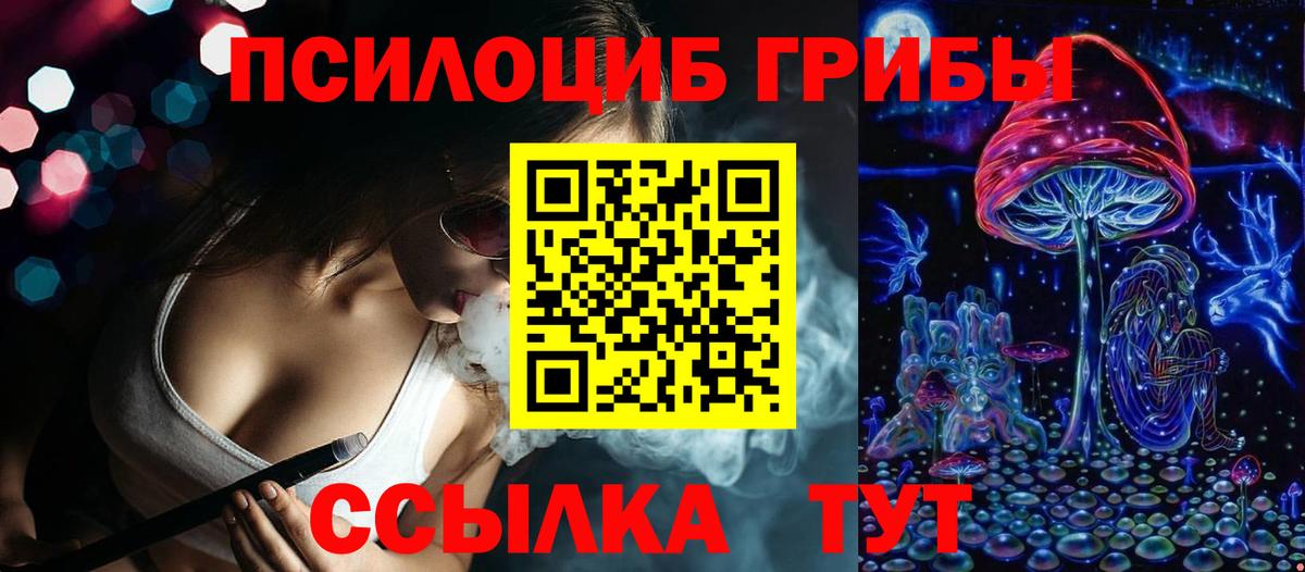 Псилоцибиновые грибы Psilocybe  Вход с VPN  Россия 